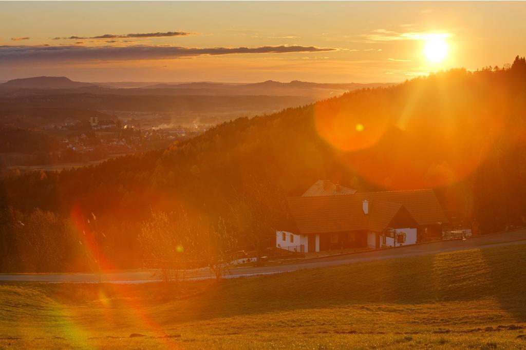 Hotel Schilcherlandhof Stainz Bagian luar foto